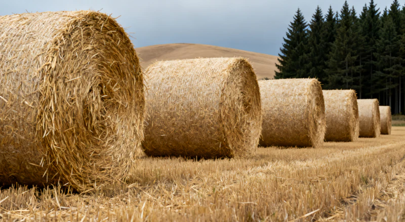 The 9YG-1.0 round baler produces uniformly sized round straw bales.