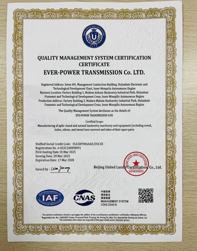 ISO 9001 Quality Management System Certificate for Ever-Power Machinery